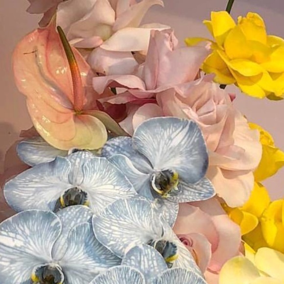 Meet your Posher - Picture 1 of 1